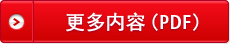 更多内容(PDF)